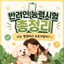 금여 | 반려인 능력시험 총정리 2025 후기 + 2026 예고