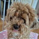 견우동물병원 이미지