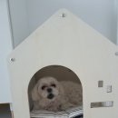 보리네집 이미지