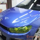 Evo-Luster 이미지