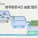 우리집민물장어 이미지