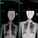 상도시원마취통증의학과의원 이미지