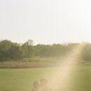 수원-0383 이미지