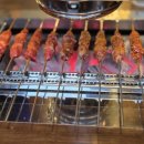 다와양꼬치고덕점 | 평택 다와 양꼬치 내돈내산 리뷰