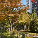 와가짐 | 네! 제베원 해투! 올해도 따라갔습니다! HERE&amp;NOW in 쿠알라룸푸르 후기