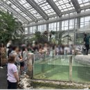 신기부화장 이미지