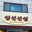 생선선생 이미지