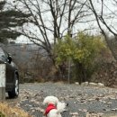 율곡가스 | 서울근교 캠핑장 파주 율곡캠핑장 애견동반 추천