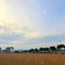 성산홍마트 2 이미지