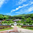 베스트 | 함양 가볼만한곳 베스트10 후기