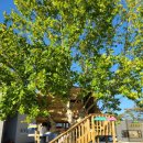 밀양달뫼작은도서관 이미지