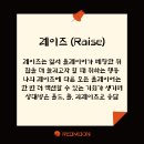 더레이즈홀덤펍