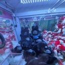 보물섬뽑기 이미지