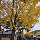 이순신 묘 | 충무공 이순신을 만나는곳, 현충사 가을 산책기