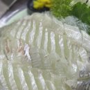 생생바다회