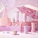 캣블라썸 | 2026 스타벅스 체리블라썸 md 스벅 블루밍 캣 콜드컵 후기