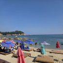 작은천국 | 갈남항 스노클링 명소, 바다 속 작은 천국 🌊🐠