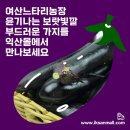 여산농장 이미지