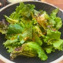 산수골 | [내돈 내산] 뜨끈~한 국물, 부모님이랑 같이 가기 좋은 '산수골 추어탕 감자탕'