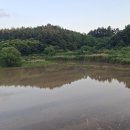 외야골 티스토리