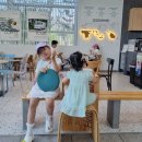 카페베네포항경주 - 포항시 남구 일월로41번길 14 | 카페베네포항경주