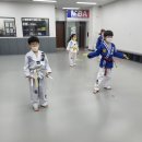 리틀MBA태권도장 이미지