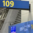내 인생 최초의 남반구 #1