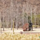 곽재우장군문화공원 네이버블로그