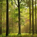 자연에너지 이미지