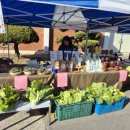 김윤태농장 이미지