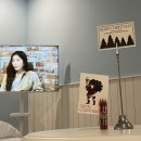 빌라드 카렐 이미지