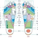 손과 발의 혈자리 입니다. 이미지