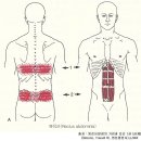 창해한의원 이미지
