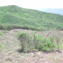 서상농장 이미지