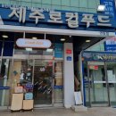 산림조합 1층 | 제주 썸제주 기념품 스토어 주차 야채샌드 솔직후기
