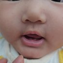 소빵언니 | [내돈내산] 소빵이 치카치카 용품들 [블랑키즐치약&조르단칫솔]