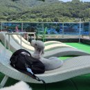 피터펫카페 가덕도점 이미지