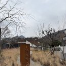 자기만의 방 | 대구/칠곡 &lt; 시호재&amp;시차 &gt; 자기만의 방 내돈내산 이용후기 🥛 우유팥빙수, 재재방문