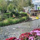 ㈜서울한방 이미지