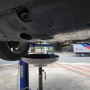 프로카센타 이미지