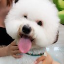 서울프라임 동물병원 이미지