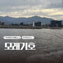 항구낚시 슈퍼 | 속초 모래기호 배낚시 체험ㅣ장사항 이색데이트 후기