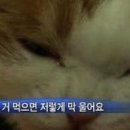 지음(jieum) 이미지