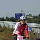 파랑새2 이미지