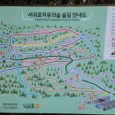 소울치유의숲 이미지
