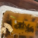 죠스떡볶이 산본점 이미지