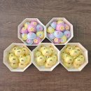 엑스포경로당 이미지