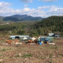 장흥마을회관 이미지