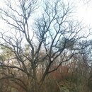 임실치즈골 은주네농장 이미지