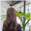 1337 | 살롱드김 안산고잔1호점 – 맞춤 디자인과 두피클리닉까지, 정착하기 좋은 미용실 후기 (0507-1337-0284)